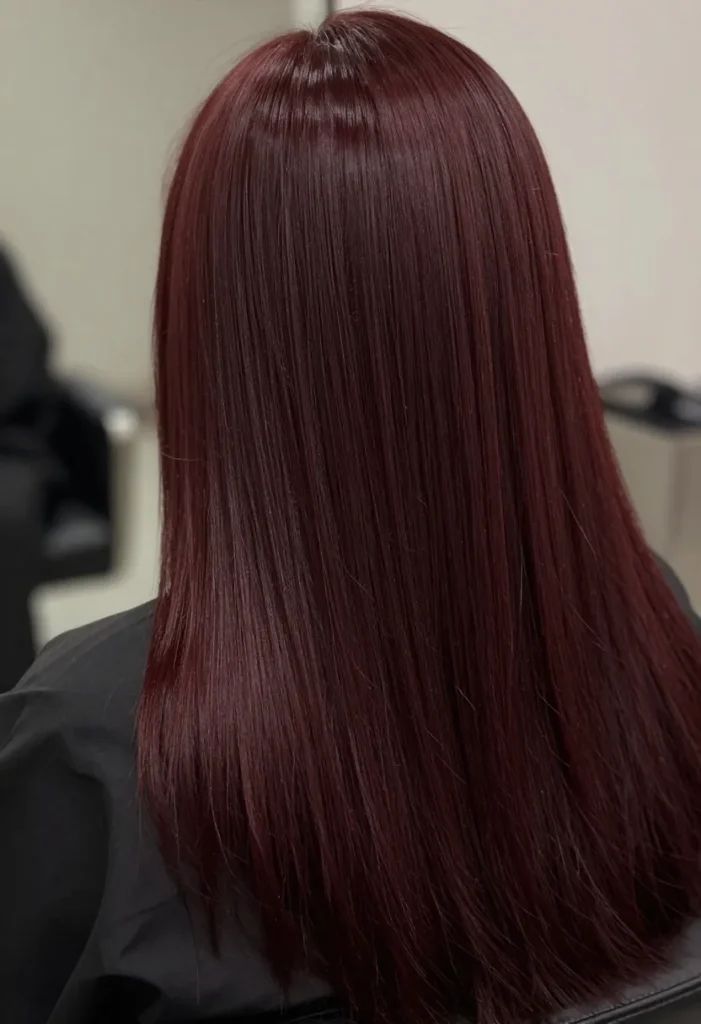 Deep Burgundy Hairstyle Deep Burgundy Hairstyle